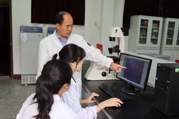 bevictor伟德官网